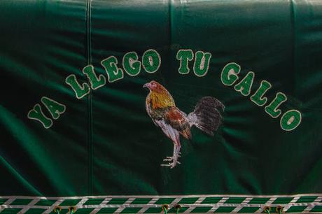 Inti Raymi en Zuleta, huambrito Inti Raymi en Zuleta, huambrito