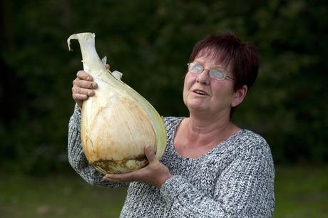 Vegetales gigantes