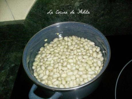 Pochas frescas estofadas Pochas frescas estofadas