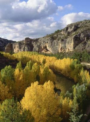 Alcalá del Júcar entre los 15 bosques para sentir el Otoño