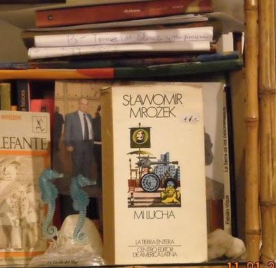 “Mi lucha”, de Sławomir Mrożek “Mi lucha”, de Sławomir Mrożek