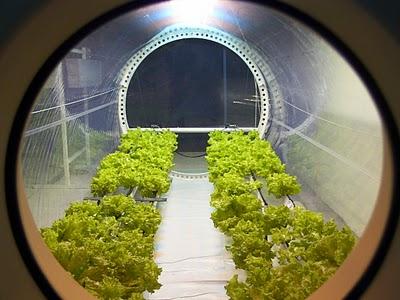 Invernadero en el espacio Invernadero en el espacio
