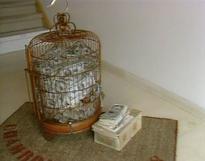 Historia de las exposiciones II (V) Historia de las exposiciones II (V)