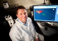 Researchers identify a molecular switch that controls neuronal migration in the developing brain Researchers identify a molecular switch that controls neuronal migration in the developing brain