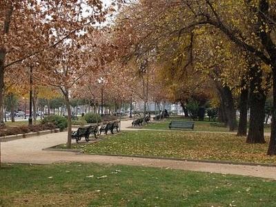 La ciudad y los espacios verdes públicos La ciudad y los espacios verdes públicos