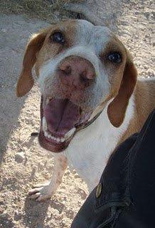 La lección de Cata merece recompensa... tu hogar (Granada) La lección de Cata merece recompensa... tu hogar (Granada)