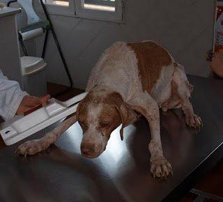 La lección de Cata merece recompensa... tu hogar (Granada) La lección de Cata merece recompensa... tu hogar (Granada)