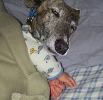 Andanzas y dulces sueños.... Andanzas y dulces sueños....