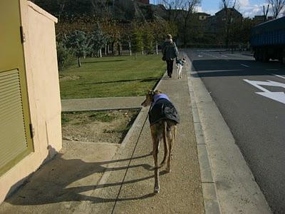 Andanzas y dulces sueños.... Andanzas y dulces sueños....