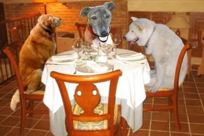 Andanzas y dulces sueños.... Andanzas y dulces sueños....