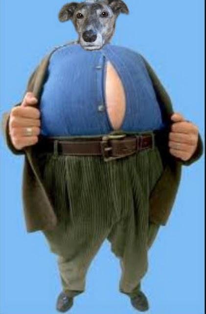 Andanzas y dulces sueños.... Andanzas y dulces sueños....