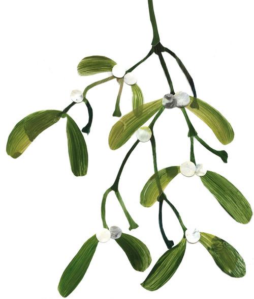 Navidad1 Muérdago vs Acebo.