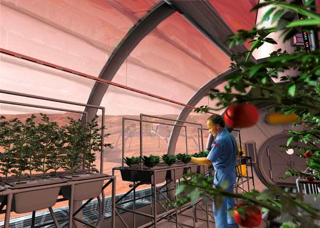 ¿Podrían granjeros espaciales cultivar cereales en otros planetas? ¿Podrían granjeros espaciales cultivar cereales en otros planetas?