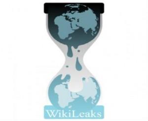 wikileaks_logo Wikileaks- Los Gobiernos Mundiales apoyaron a Genosha