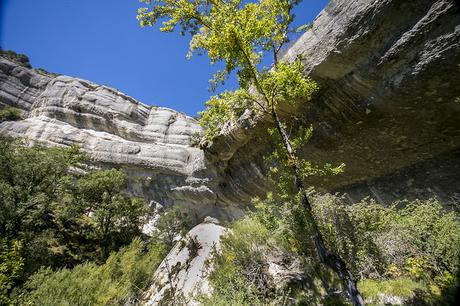 Cascada de la Mea, Burgos Cascada de la Mea