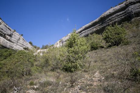 Cascada de la Mea, Burgos Cascada de la Mea