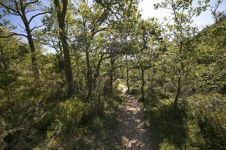Cascada de la Mea, Burgos Cascada de la Mea