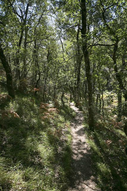 Cascada de la Mea, Burgos Cascada de la Mea