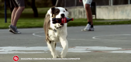 Encuentra más razones para compartir #ComparteCocaCola cocacola_bluescire