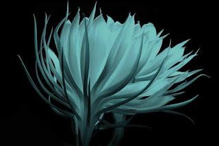 EL ÁNGEL SEDUCTOR EL ÁNGEL SEDUCTOR