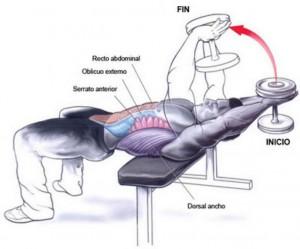 Serratos, ¿cómo trabajarlos? serratoss