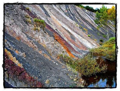 Otoño para siempre Otoño para siempre