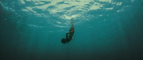 En Proyección: Evolution En Proyección: Evolution