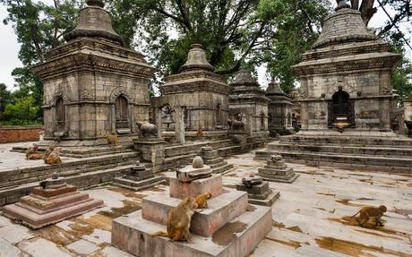 Pashupatinath Templo 3