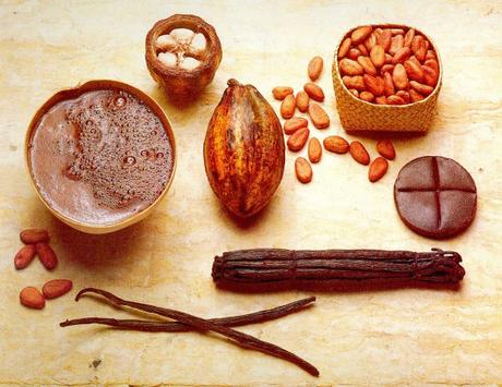 La mexicana Minerva Cuevas y 500 orejas de chocolate Cacao-Mexico-620x479