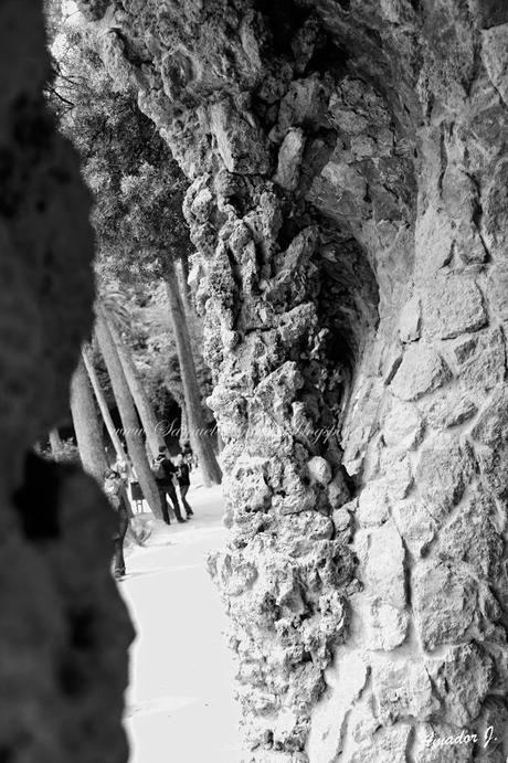 BARCELONA: PARK GÜELL. FOTOGRAFÍAS EN BLANCO y NEGRO