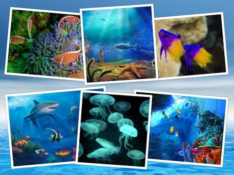 Dibujando un fondo marino Dibujando un fondo marino