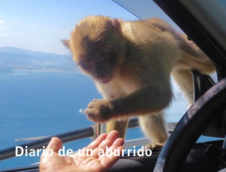 Gibraltar Gibraltar