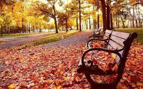 ¡... Otoño! ¡... Otoño!