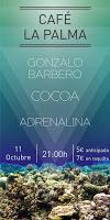 Concierto en Café La Palma de Cocoa Golzalo Barbero y Adrenalina