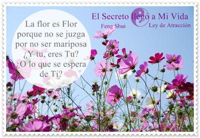 Como puedo quererme? Como puedo quererme?