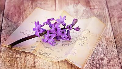 Tu vida es lo que esperas que sea #libroelsecretollegoamivida Tu vida es lo que esperas que sea #libroelsecretollegoamivida