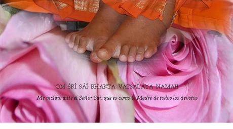 lotus-feet-navaratri lotus-feet-navaratri