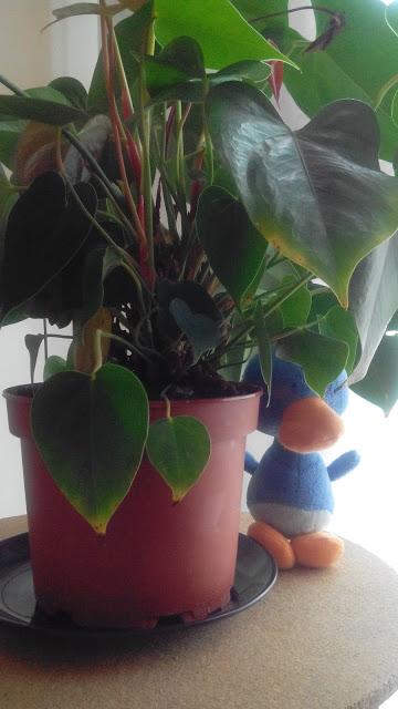 Y comienza el otoño.Update Y comienza el otoño.Update