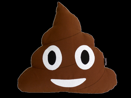 cojin caca wasap para regalar cojin caca wasap para regalar