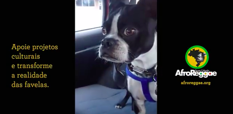 Le ponen color a lo negro. Le ponen color a lo negro.