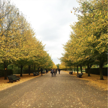 Frieze Art Fair. Un paseo por la feria Frieze Art Fair. Un paseo por la feria