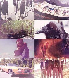 Matarás a tu amor verdadero... (Reseña) Matarás a tu amor verdadero... (Reseña)