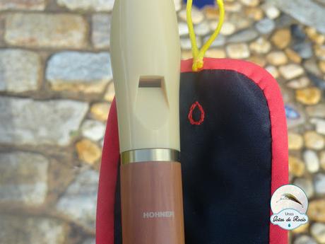 Funda para la flauta. Funda para la flauta.