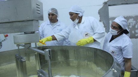 SAUVELLCH, los primeros quesos de la planta de lácteos “Mi Cullahuata” sauvech