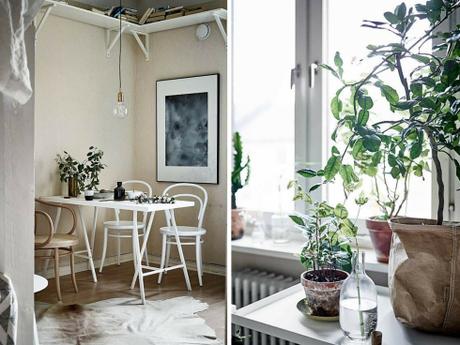 via Las plantas dan vida y alegría, son imprescindibles p... 3