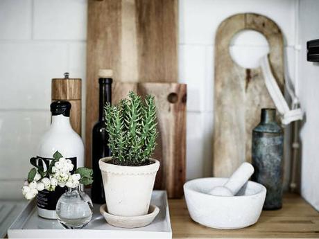 via Las plantas dan vida y alegría, son imprescindibles p... 4