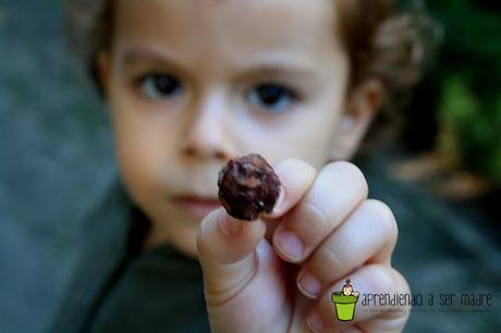 Otoño mágico con Lola, aprender de la naturaleza