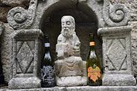 Vendimia Vizhoja, mi primera vendimia... y por fin de vuelta! Vendimia Vizhoja, mi primera vendimia... y por fin de vuelta!