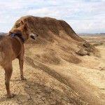 Bardenas-Reales-Furgoneta-Furgoneteo.com