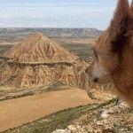 Bardenas Reales en furgoneta – 42.000 hectáreas de desierto en Navarra (segunda parte) Bardenas-Reales-Furgoneta-Furgoneteo.com